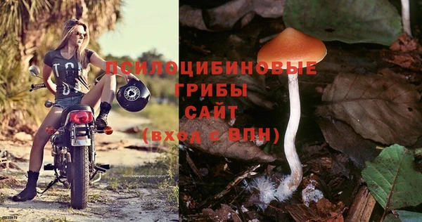 MDMA Аркадак