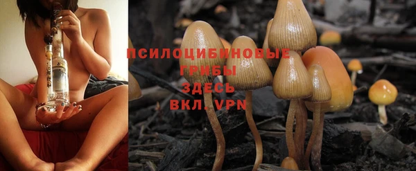 MDMA Аркадак