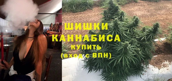 крисы Армянск