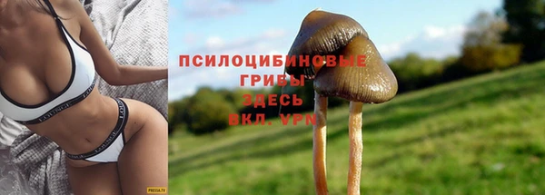 крисы Армянск