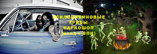 стафф Арсеньев
